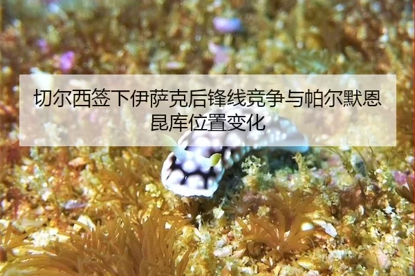 qie-er-xi-qian-xia-yi-sa-ke-hou-feng-xian-jing-zheng-yu-pa-er-mo-en-kun-ku-wei-zhi-bian-hua-2-484.jpg